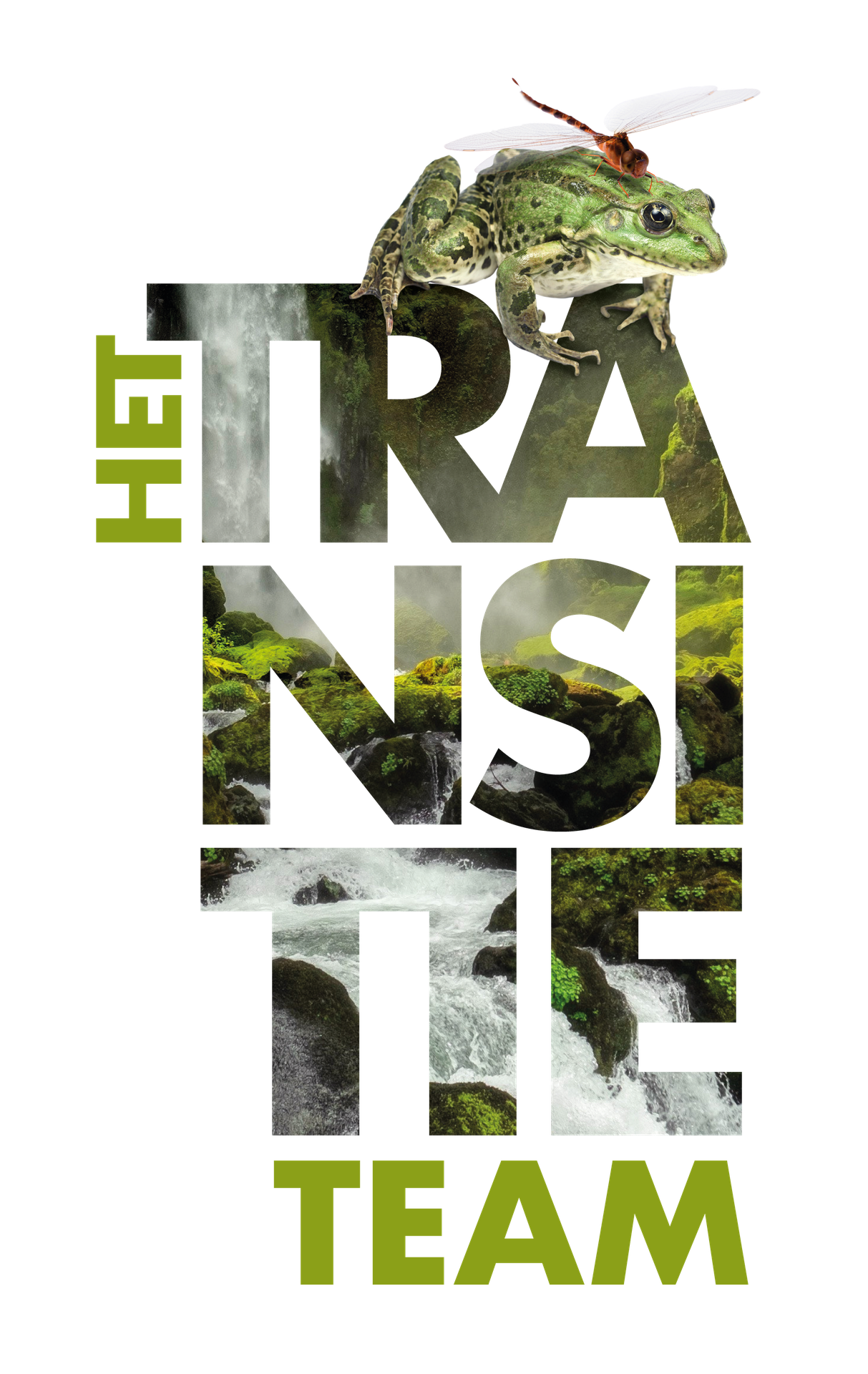 Het Transitieteam